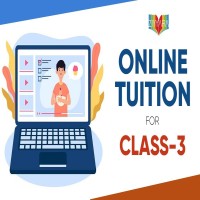 Excellence in Online Tuition for Class 3