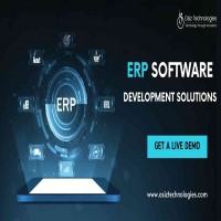 Elevate Your Business with ERP Software Development